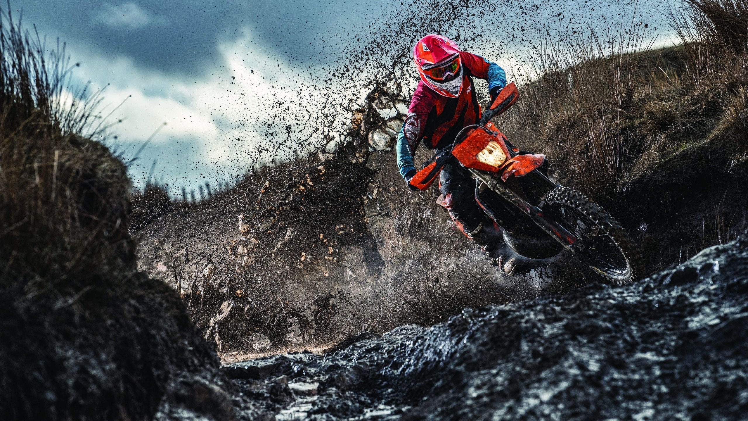 体育赛事观众增长数据分析