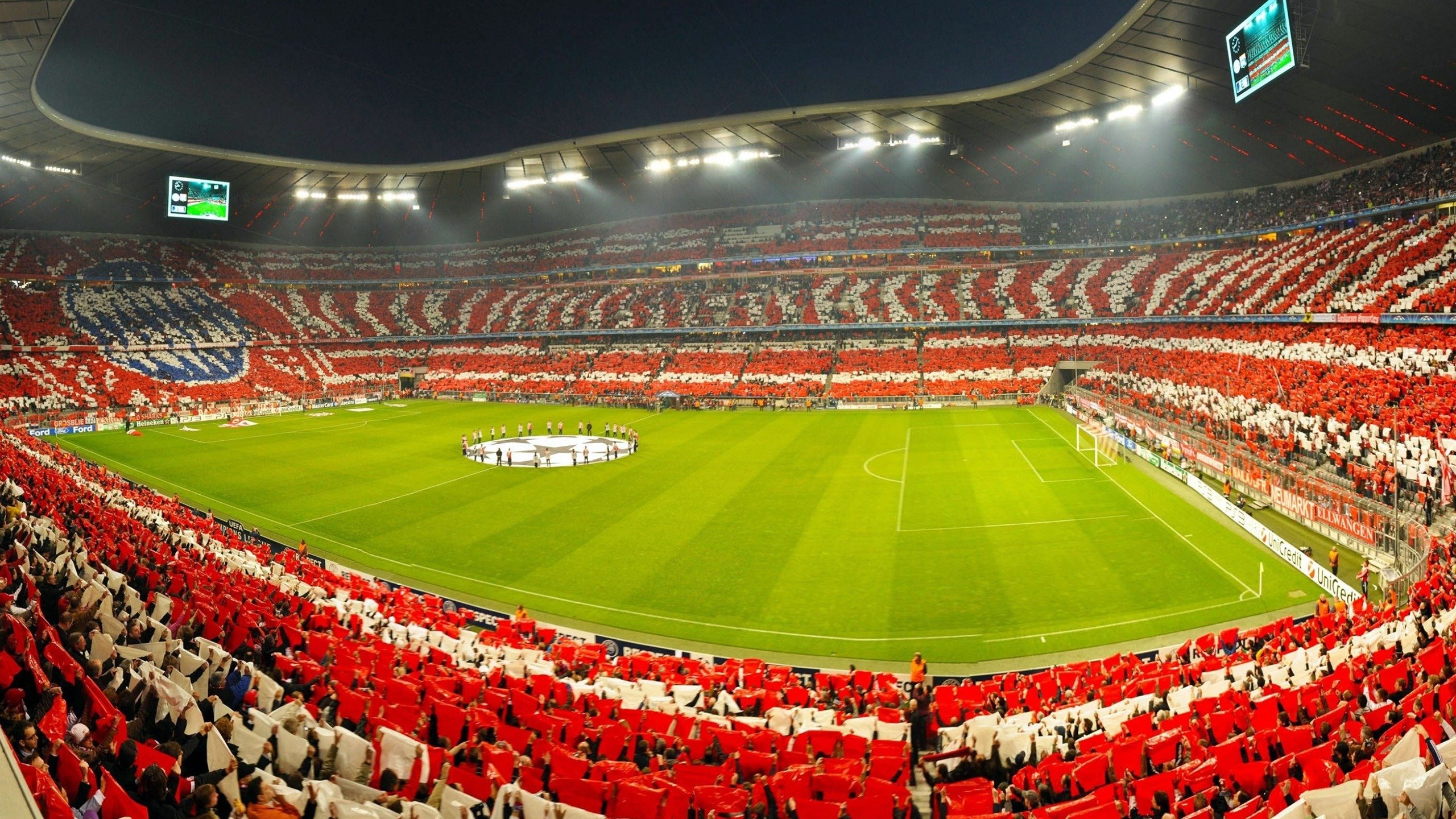 游泳赛事观众人数不断增长